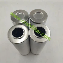 Wymień wkład filtra Internormen 01.NL400.10VG.30.SP